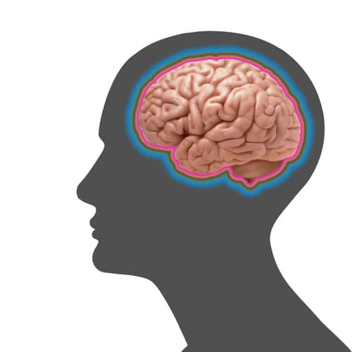 A graphic of a human head with a brain signifying brain injury