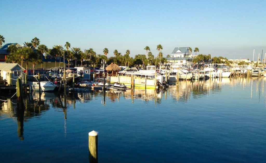 Boats in Tampa Bay